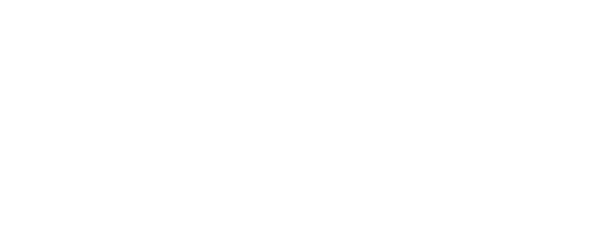 100-percent-nz